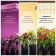 New Spider farmer SF4000 LED Grow Light With Dimmer Knob 2020 new version QB New Spider farmer SF4000 LED Grow Light With Dimmer Knob 2020 new version QB