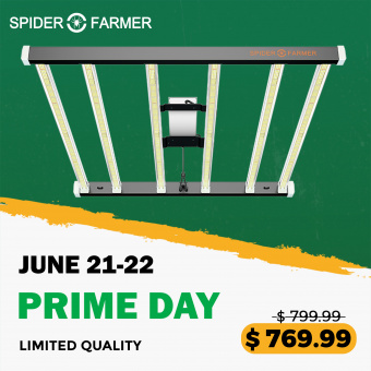 Spider Farmer SE7000 Commercial LED Grow Light